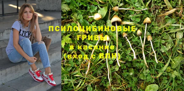 марихуана Майский