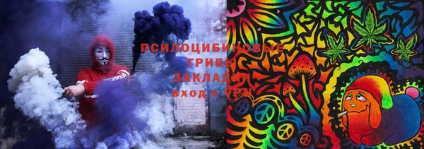 mdpv Медвежьегорск
